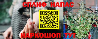 дживик Бийск