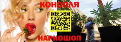 дживик Бийск