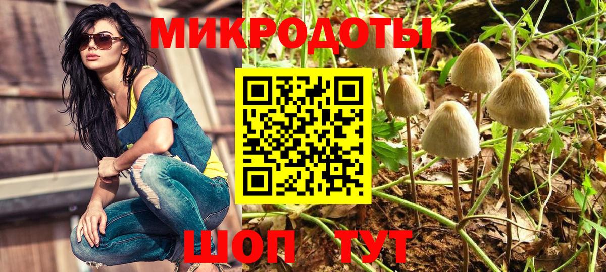 Братск  Галлюциногенные грибы мицелий  Вход с VPN 